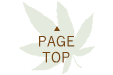 PAGE TOP