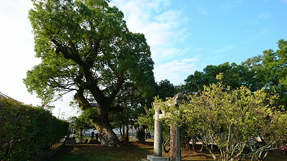 写真：八坂神社